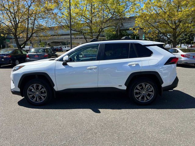 2025 Toyota RAV4 Hybrid XLE Premium