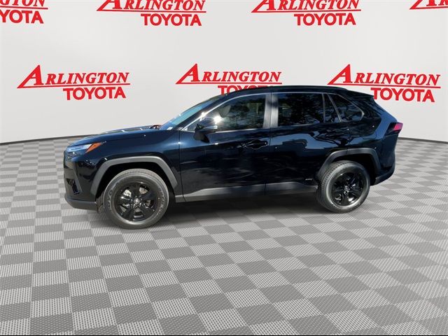 2025 Toyota RAV4 Hybrid XLE