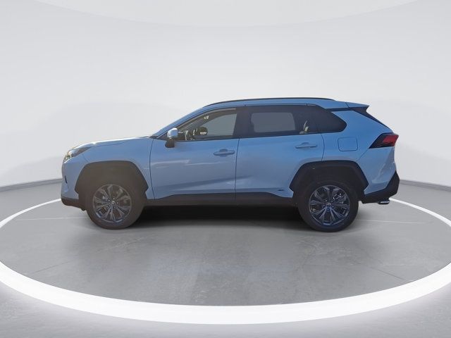 2025 Toyota RAV4 Hybrid XLE Premium