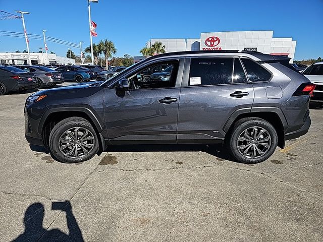 2025 Toyota RAV4 Hybrid XLE Premium