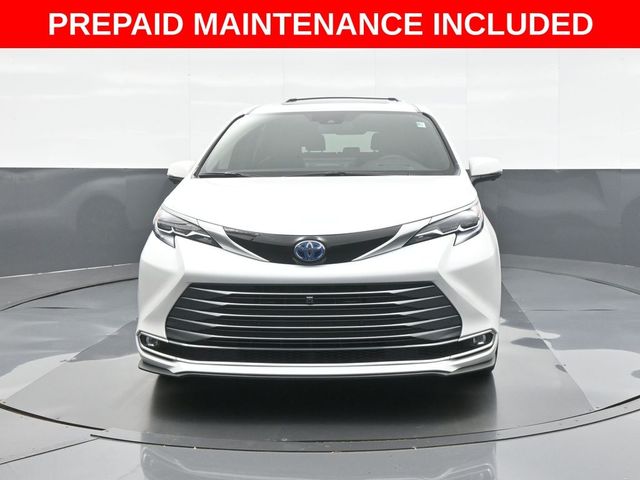 2025 Toyota Sienna Platinum