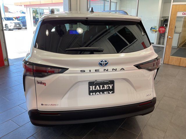 2025 Toyota Sienna XLE