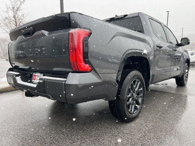 2025 Toyota Tundra Platinum