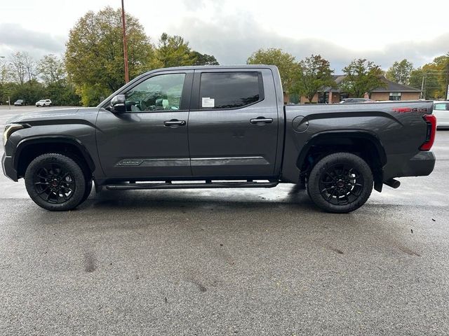 2025 Toyota Tundra Platinum