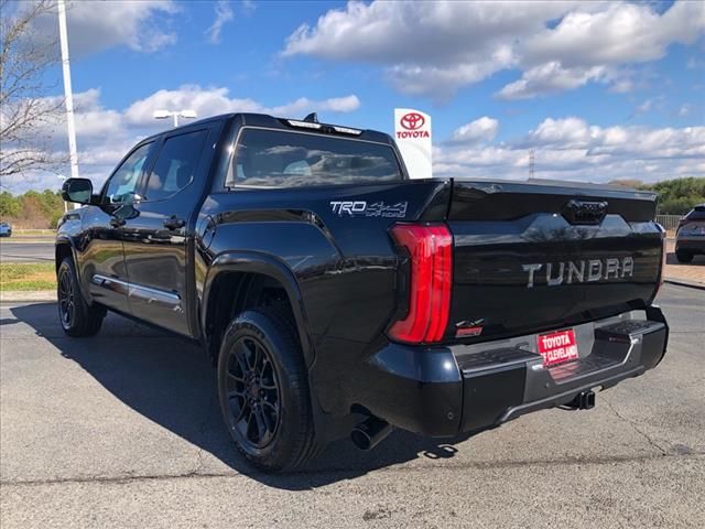 2025 Toyota Tundra Platinum