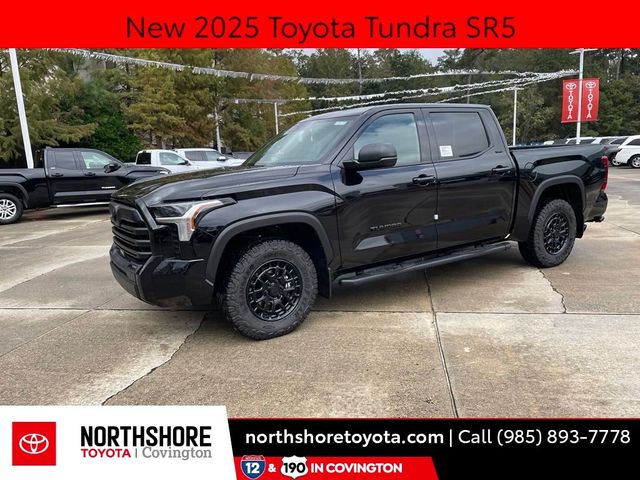 2025 Toyota Tundra SR5