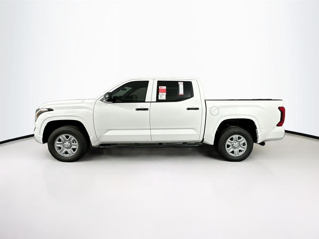 2025 Toyota Tundra SR