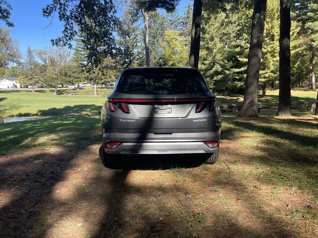 2026 Hyundai Tucson Hybrid Limited