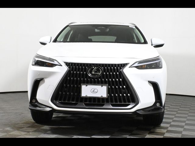 2026 Lexus NX 350