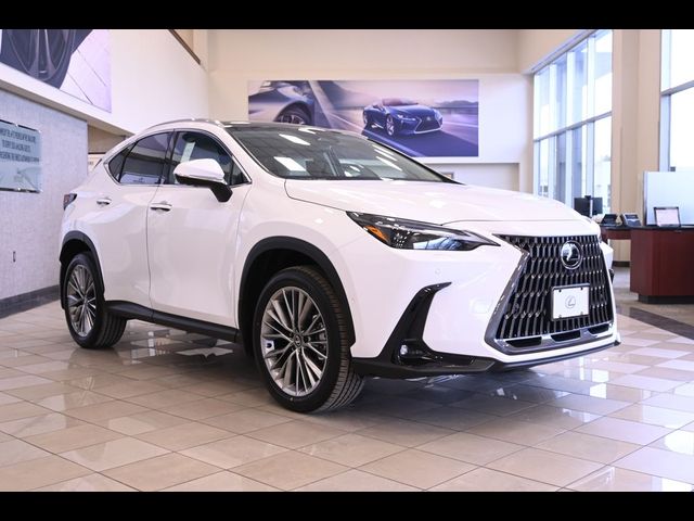 2026 Lexus NX 350 Luxury