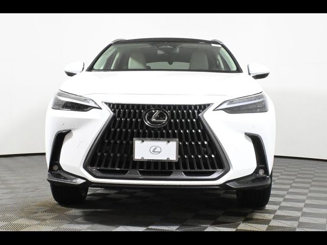 2026 Lexus NX 350 Luxury