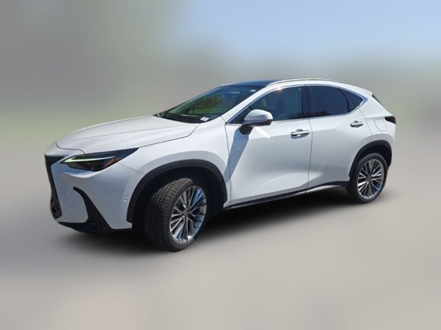 2026 Lexus NX 350 Luxury