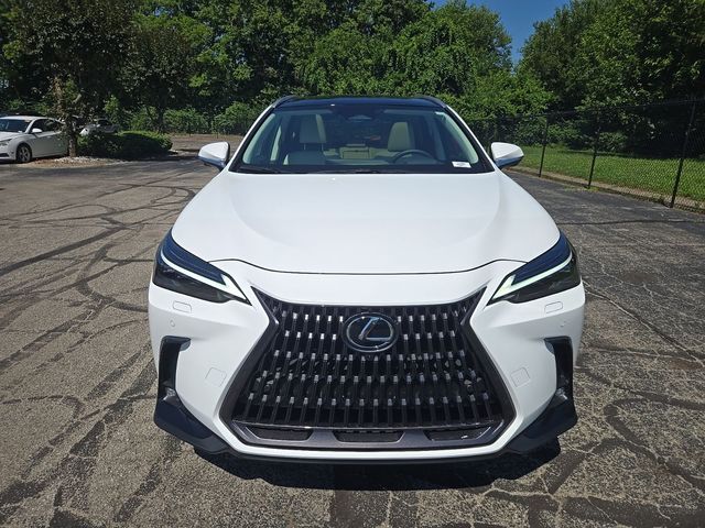2026 Lexus NX 350 Luxury