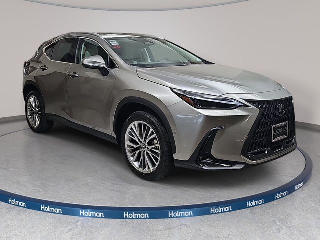 2026 Lexus NX 350 Luxury