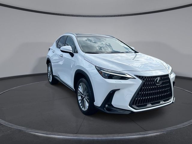 2026 Lexus NX 350 Luxury