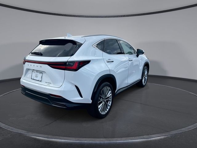 2026 Lexus NX 350 Luxury