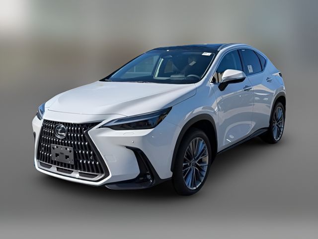 2026 Lexus NX 350 Luxury