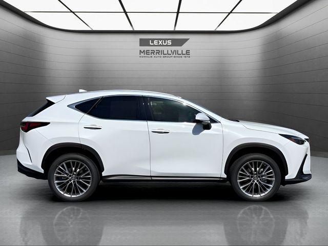 2026 Lexus NX 350 Premium