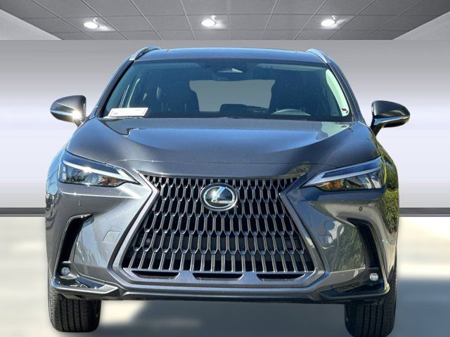 2026 Lexus NX 350