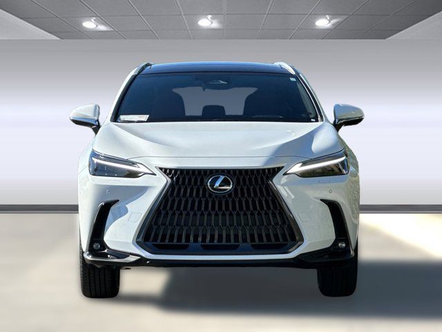 2026 Lexus NX 350h Luxury