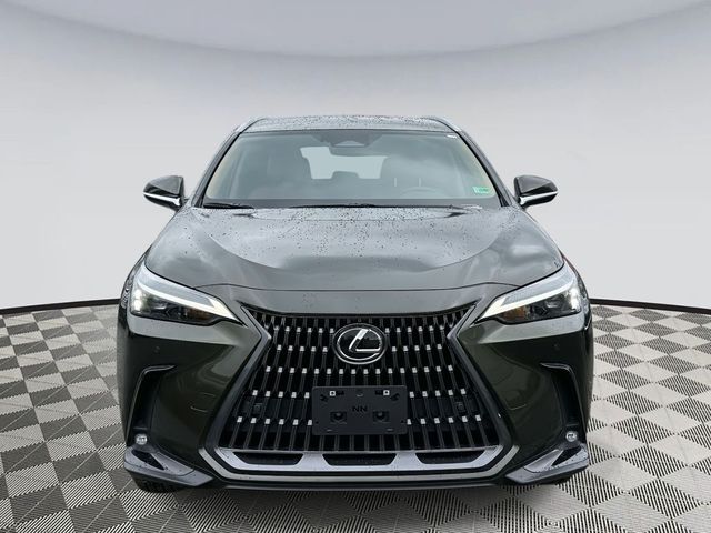 2026 Lexus NX 350