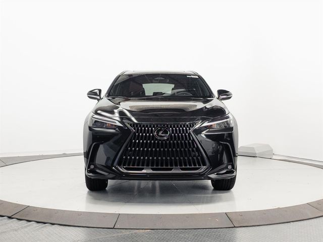 2026 Lexus NX 350