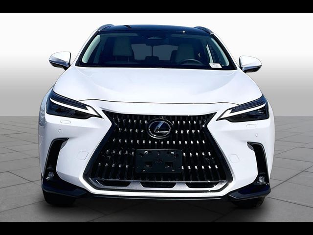 2026 Lexus NX 350 Luxury