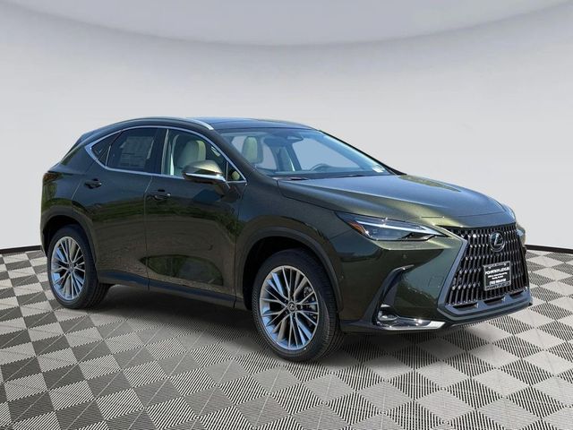 2026 Lexus NX 350 Luxury
