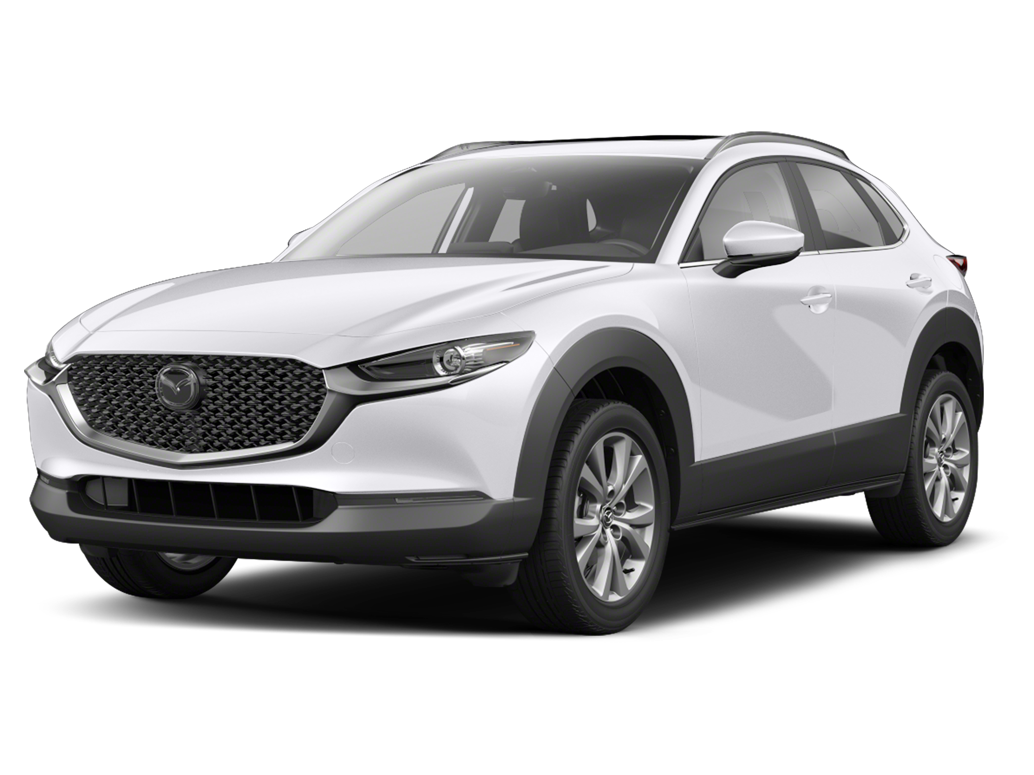 Image of Vehicle