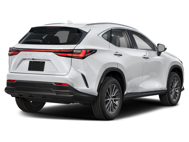 2025 Lexus NX 250