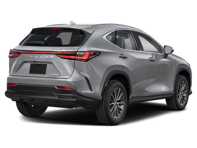 2025 Lexus NX 250