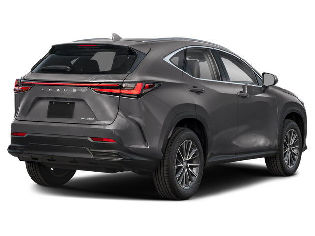 2025 Lexus NX 250