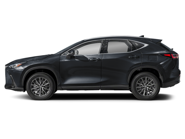 2025 Lexus NX 250