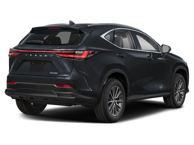 2025 Lexus NX 250