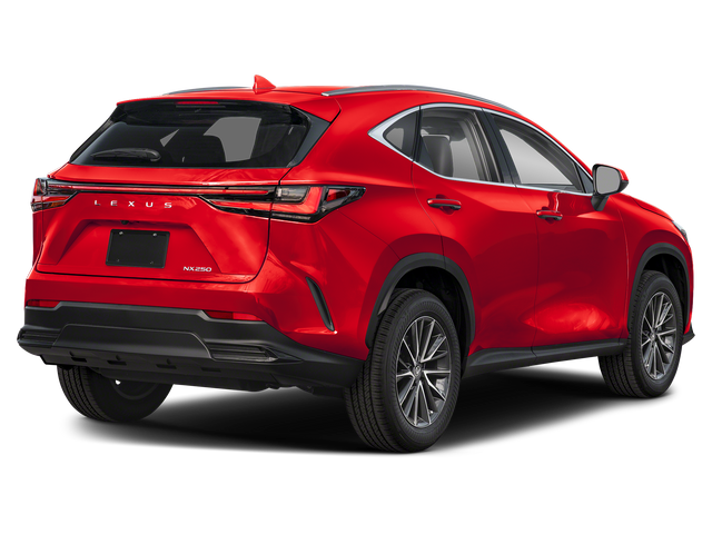 2025 Lexus NX 250