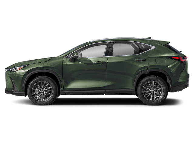 2025 Lexus NX 250