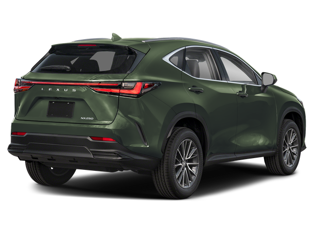 2025 Lexus NX 250