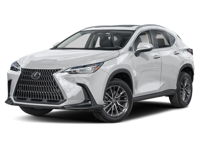 2025 Lexus NX 250 Premium