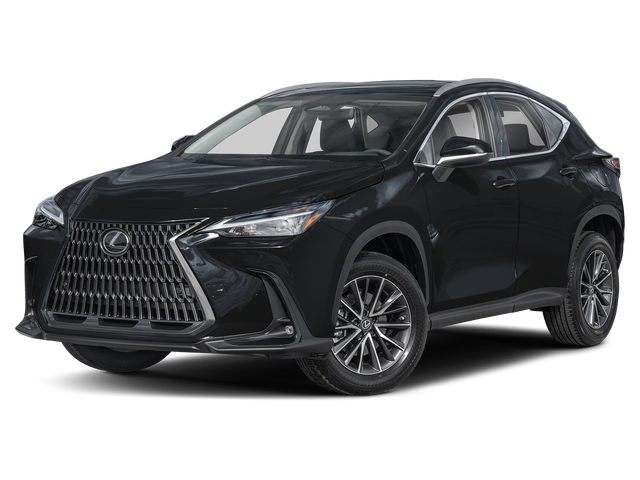 2025 Lexus NX 250 Premium