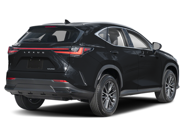 2025 Lexus NX 250 Premium