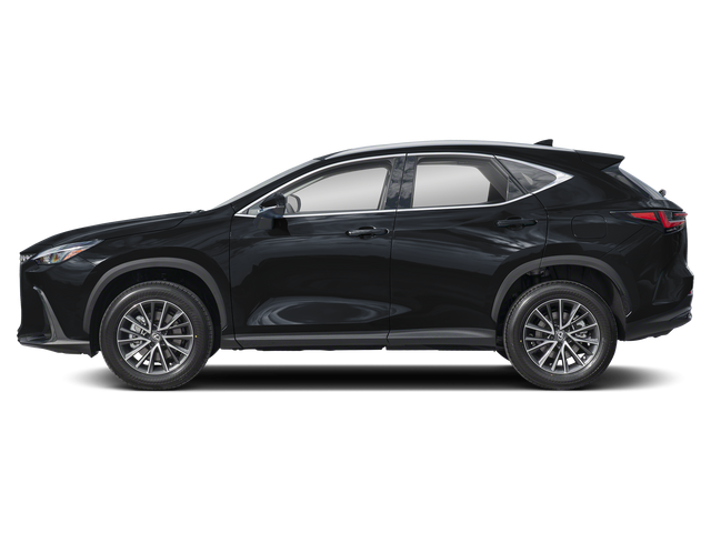 2025 Lexus NX 250 Premium