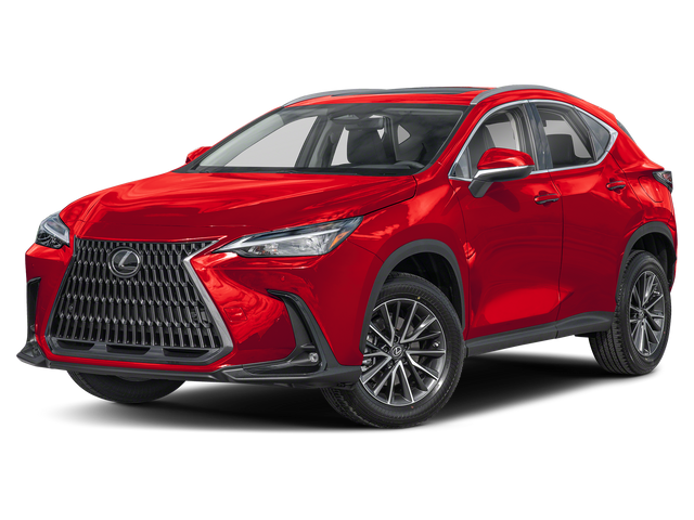 2025 Lexus NX 250 Premium