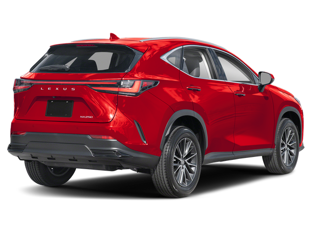 2025 Lexus NX 250 Premium