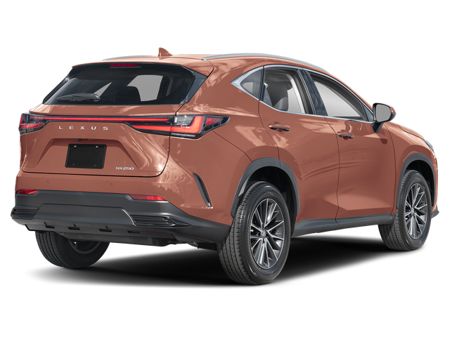 2025 Lexus NX 250 Premium