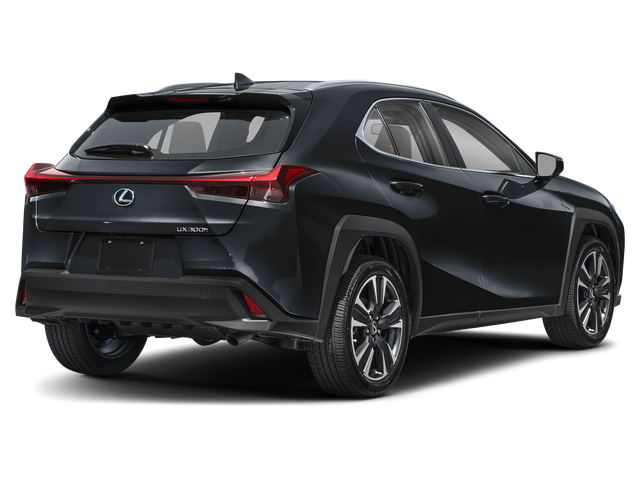 2025 Lexus UX UX 300h