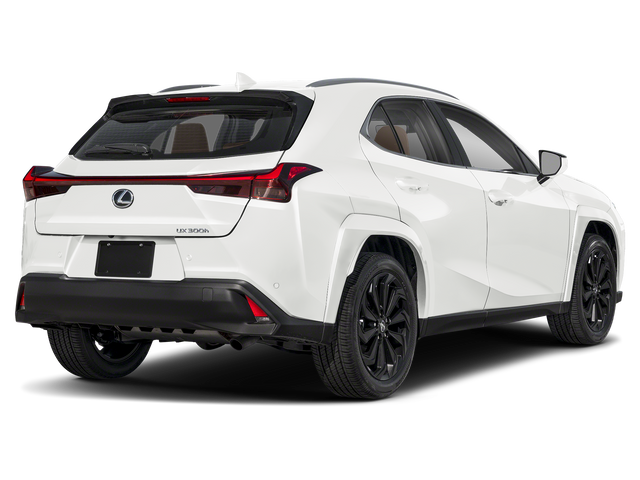 2025 Lexus UX UX 300h Premium