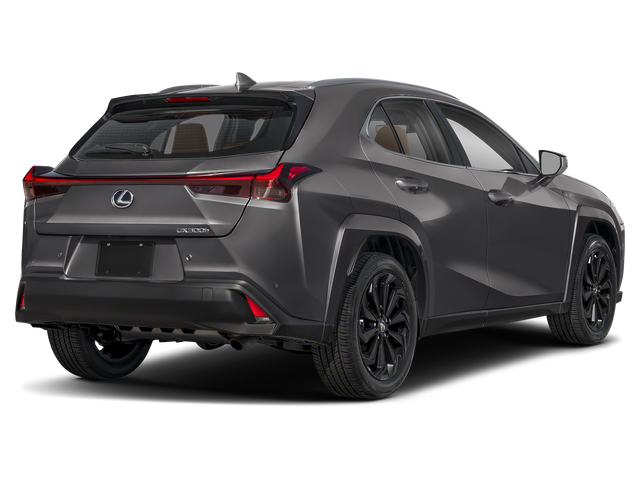 2025 Lexus UX UX 300h Premium