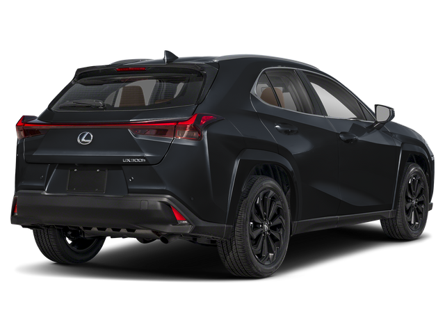 2025 Lexus UX UX 300h Premium