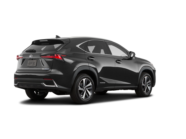 2020 Lexus NX 300h