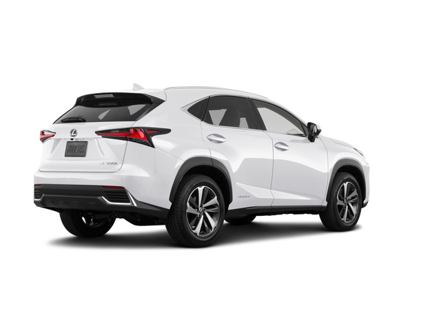 2021 Lexus NX 300h